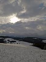 Bild 2 (25 Bildaufrufe)