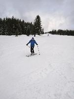 Bild 5 (49 Bildaufrufe)
