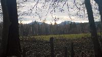 Bild 2 (39 Bildaufrufe)