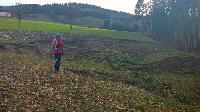 Bild 8 (32 Bildaufrufe)