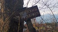 Bild 11 (30 Bildaufrufe)