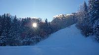 Bild 1 (81 Bildaufrufe)