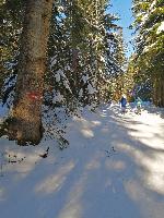 Bild 4 (73 Bildaufrufe)