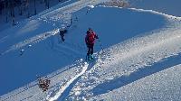 Bild 9 (77 Bildaufrufe)