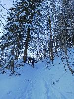 Bild 17 (71 Bildaufrufe)
