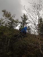 Bild 3 (61 Bildaufrufe)