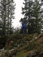 Bild 14 (53 Bildaufrufe)