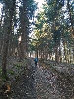 Bild 1 (34 Bildaufrufe)