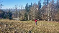 Bild 3 (42 Bildaufrufe)