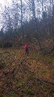 Hiesberg (45 Bildaufrufe)
