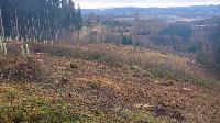 Hiesberg (47 Bildaufrufe)