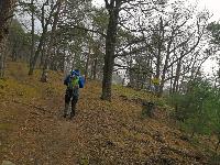 Bild 1 (66 Bildaufrufe)
