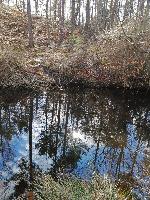 Bild 8 (56 Bildaufrufe)
