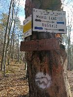 Bild 10 (64 Bildaufrufe)