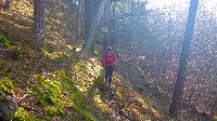 Bild 14 (60 Bildaufrufe)