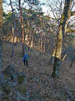 Bild 20 (62 Bildaufrufe)