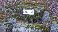 Bild 21 (62 Bildaufrufe)
