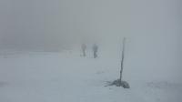 Bild 12 (83 Bildaufrufe)