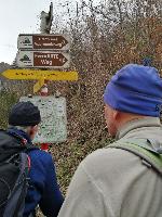 Bild 1 (64 Bildaufrufe)