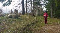 Bild 8 (66 Bildaufrufe)