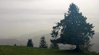 Bild 10 (59 Bildaufrufe)