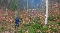 Bild 14 (57 Bildaufrufe)