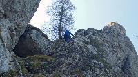 Bild 9 (51 Bildaufrufe)