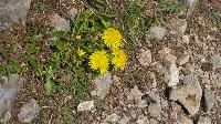 Bild 25 (46 Bildaufrufe)