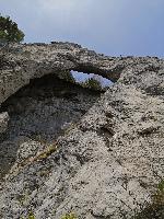 Bild 14 (60 Bildaufrufe)