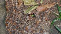 Bild 5 (60 Bildaufrufe)