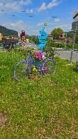 Bild 1 (34 Bildaufrufe)