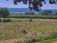 Manker Pilgerweg (4 Bildaufrufe)