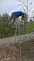 Bild 8 (36 Bildaufrufe)