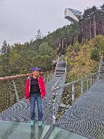 Bild 10 (37 Bildaufrufe)