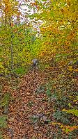 Bild 3 (32 Bildaufrufe)