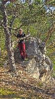 Bild 3 (49 Bildaufrufe)