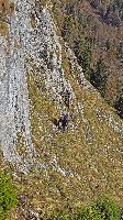 Buchbergkogel (49 Bildaufrufe)