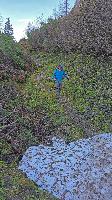 Bild 20 (45 Bildaufrufe)