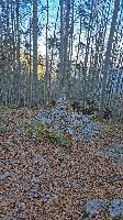 Bild 25 (45 Bildaufrufe)