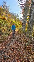 Bild 2 (38 Bildaufrufe)