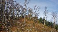 Bild 8 (42 Bildaufrufe)