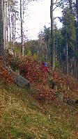Bild 14 (34 Bildaufrufe)
