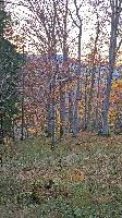 Bild 19 (33 Bildaufrufe)