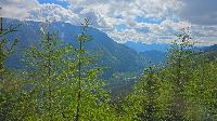 Mittagsnock (8 Bildaufrufe)