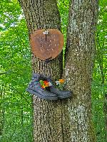Bild 4 (14 Bildaufrufe)