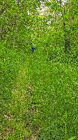 Bild 5 (12 Bildaufrufe)