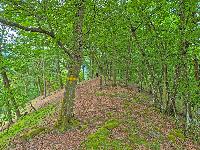 Bild 6 (13 Bildaufrufe)