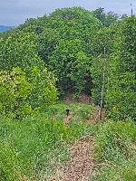 Herrenwald (6 Bildaufrufe)