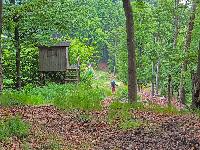 Bild 8 (14 Bildaufrufe)