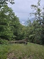 Bild 10 (16 Bildaufrufe)